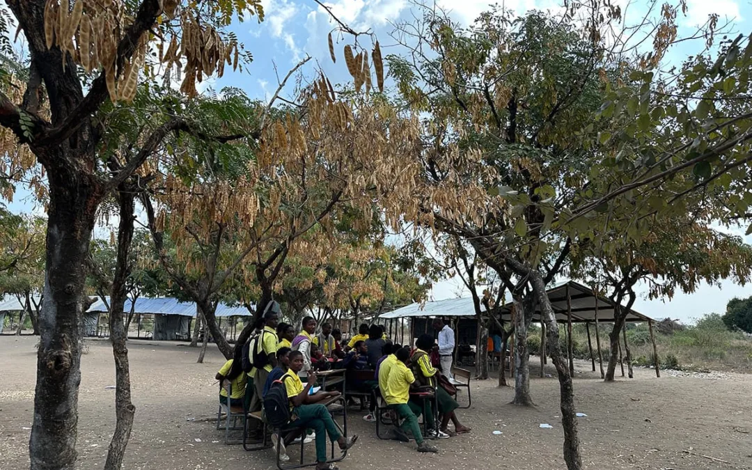 一棵樹一個教室