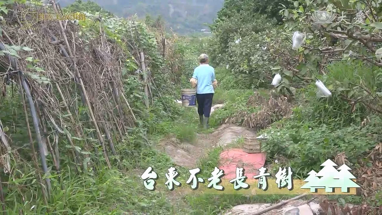 真善美故事館