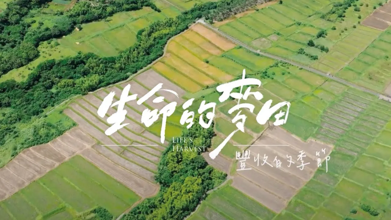 豐收的季節