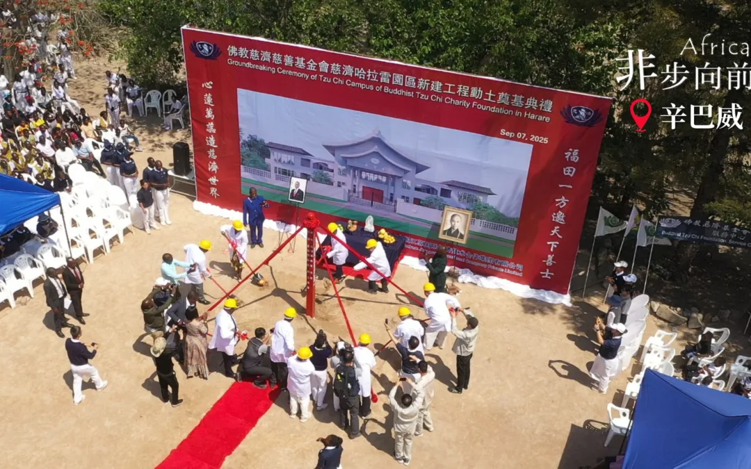 Day11 | 31年的守護